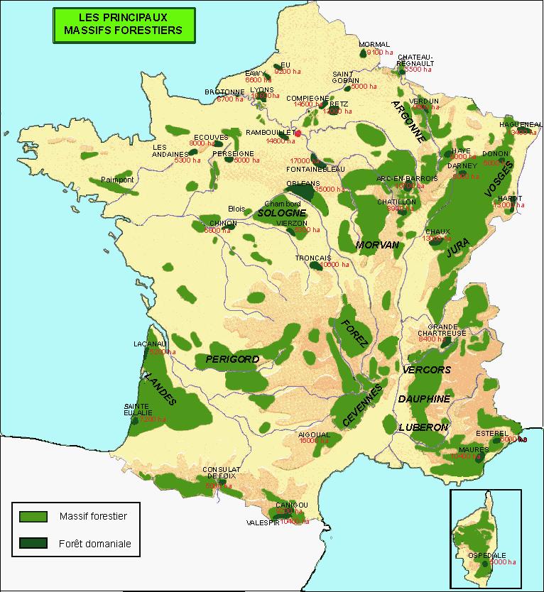 Relocalisation internationale : cartes et liens Foret10