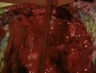 The Wizard Of Gore (1970, Herschell Gordon Lewis) The_wi14