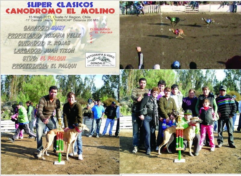 GRANDES CLASICOS PARA ESTE 15 DE MAYO EN EL CANODROMO EL MOLINO DE  OVALLE NO TE LO PUEDES PERDER - Página 2 12clas10