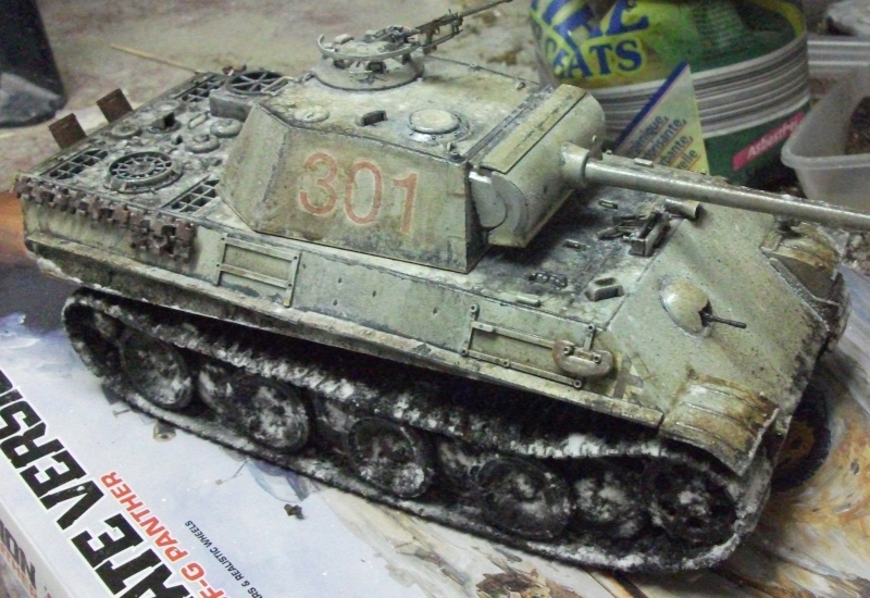 PANTHER-G late version 1/25 - Page 2 09610