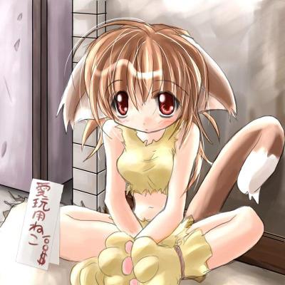 imagens de raparigas(de anime)/animais Neko110