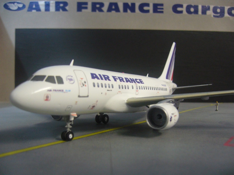 BABYBUS A318-111 AIR FRANCE/CONTRAILS-REVELL-NASCA P1050830