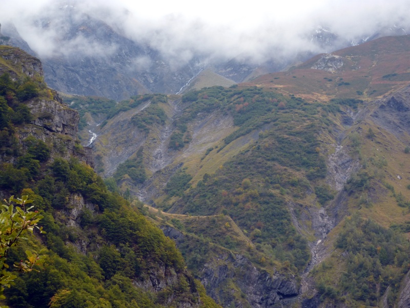 les alpes P1010418