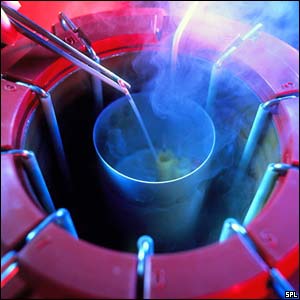 IVF - In Vitro Fertilization 510