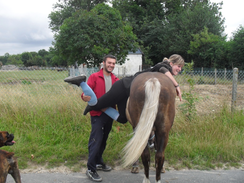 "hoolop "mon poulain sauvage :D Avant/maintenant .. New photo P.2 Sdc12514