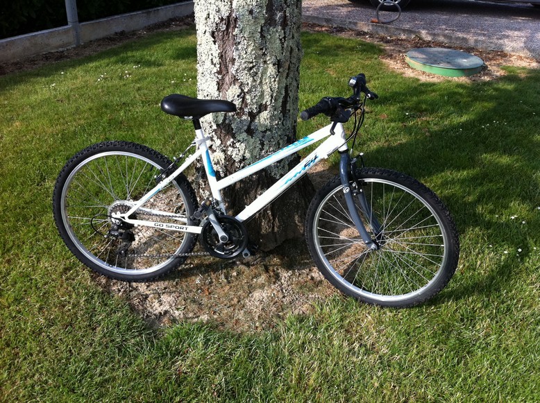 A vendre VTT, taille 9/11 ans . Img_0411