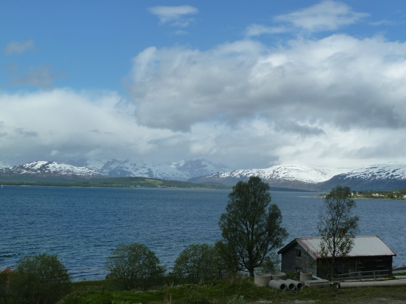 Norvège - croisière au nord - juin 2011 Tromso37