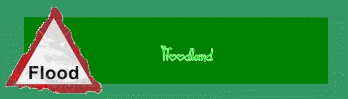 Floodland