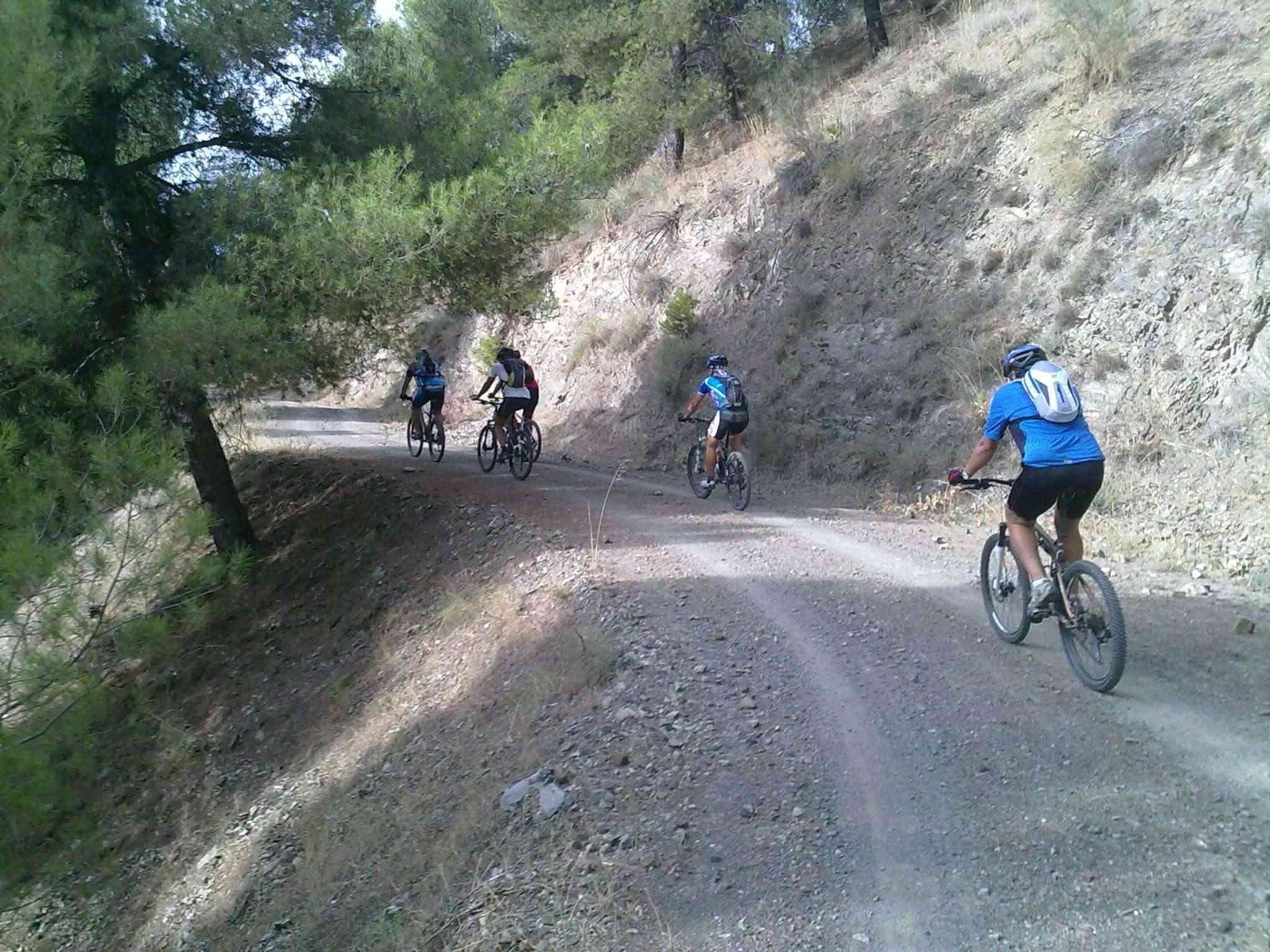 Domingo 26 -09 Un cochinillo  26092017