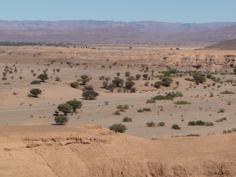 Maroc - retour Maroc 2011 P1030112