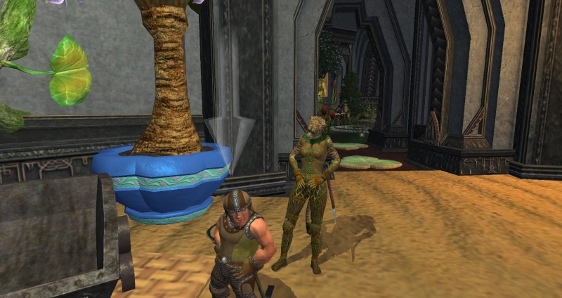 le hall de guilde en images Eq2_0021