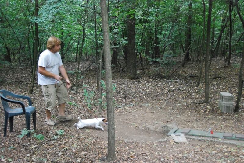 Domenica 5 settembre 2010: Prova in Tana su Volpe Tipo A e Bhfk95 per Terrier a Mozzate (CO) Dsc_5810