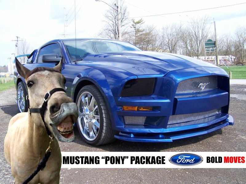 MUSTANG - Page 12 Pony_p10