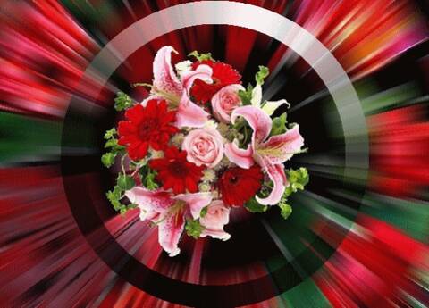 Joyeux Anniversaire Aline Joyeux Anniversaire Aline
