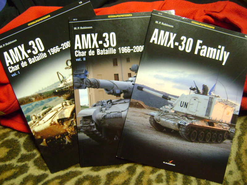 L'AMX 30 B et B2 Dsc06659