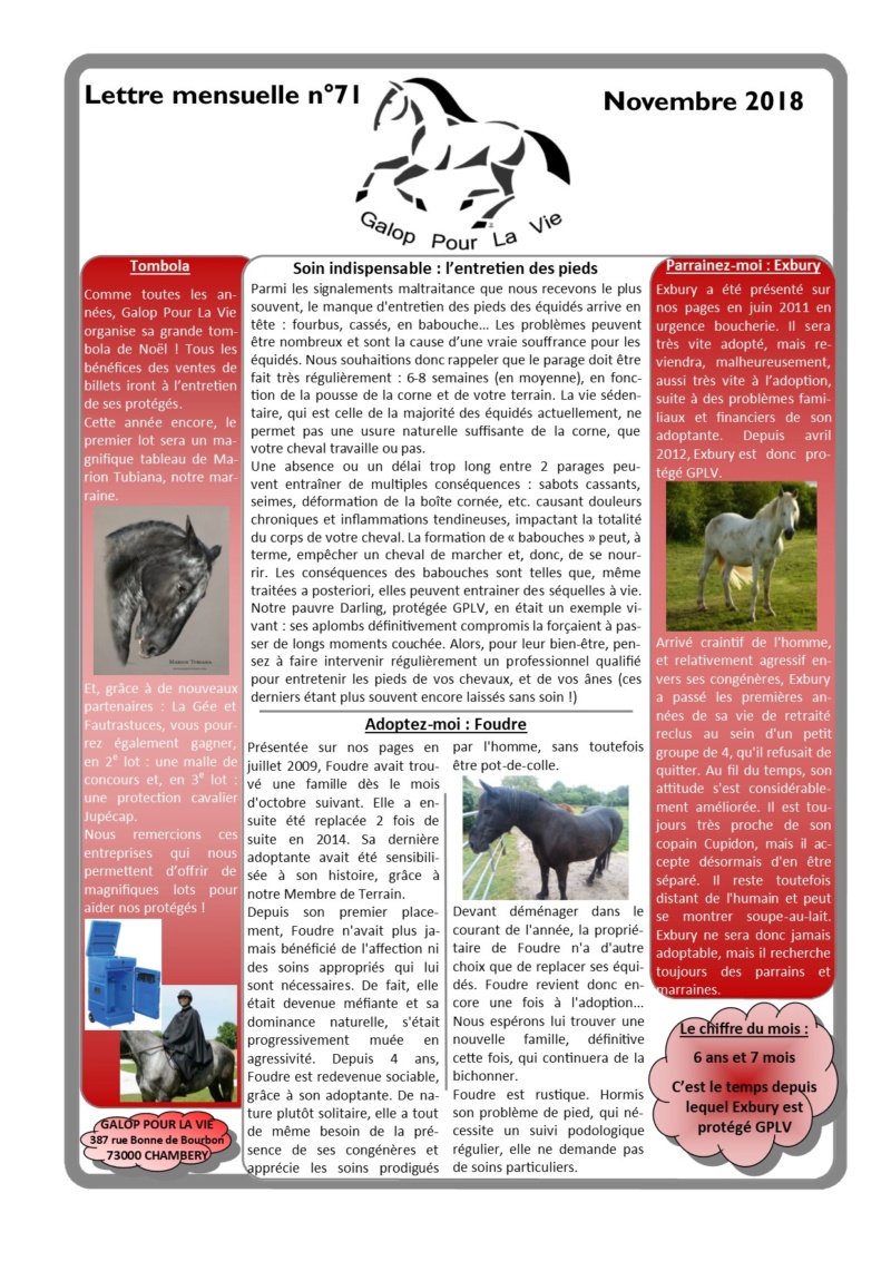 GPLV - Lettre Mensuelle n°71 - Novembre 2018  Nl_nov10