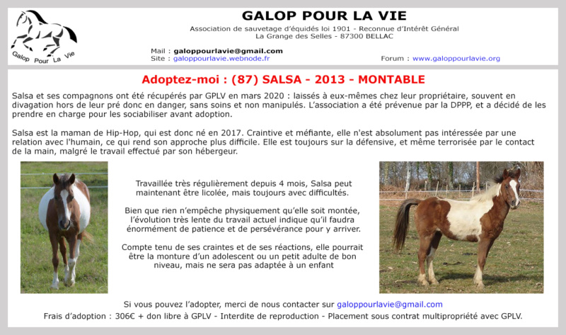 SALSA - ONC Poney née en 2013 - adoptée en septembre 2022 par Estelle  Salsav10