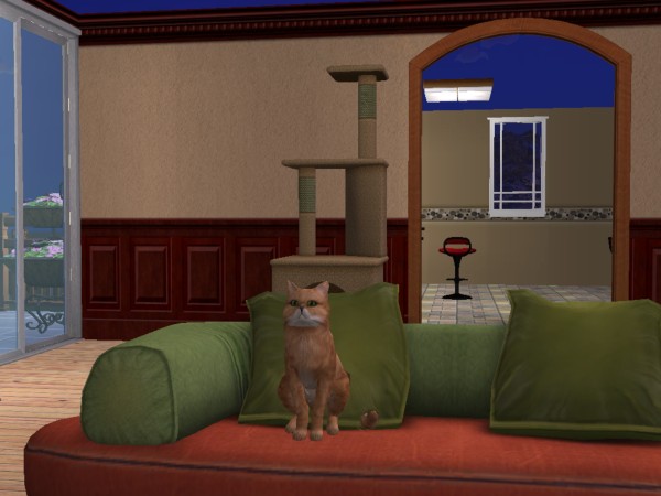 Les Sims - Page 22 0612