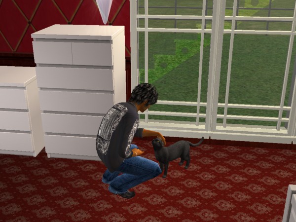 Les Sims - Page 21 1311