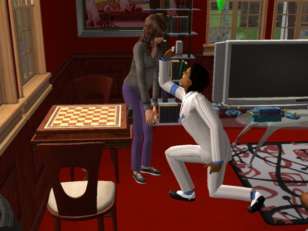 Les Sims - Page 21 1610