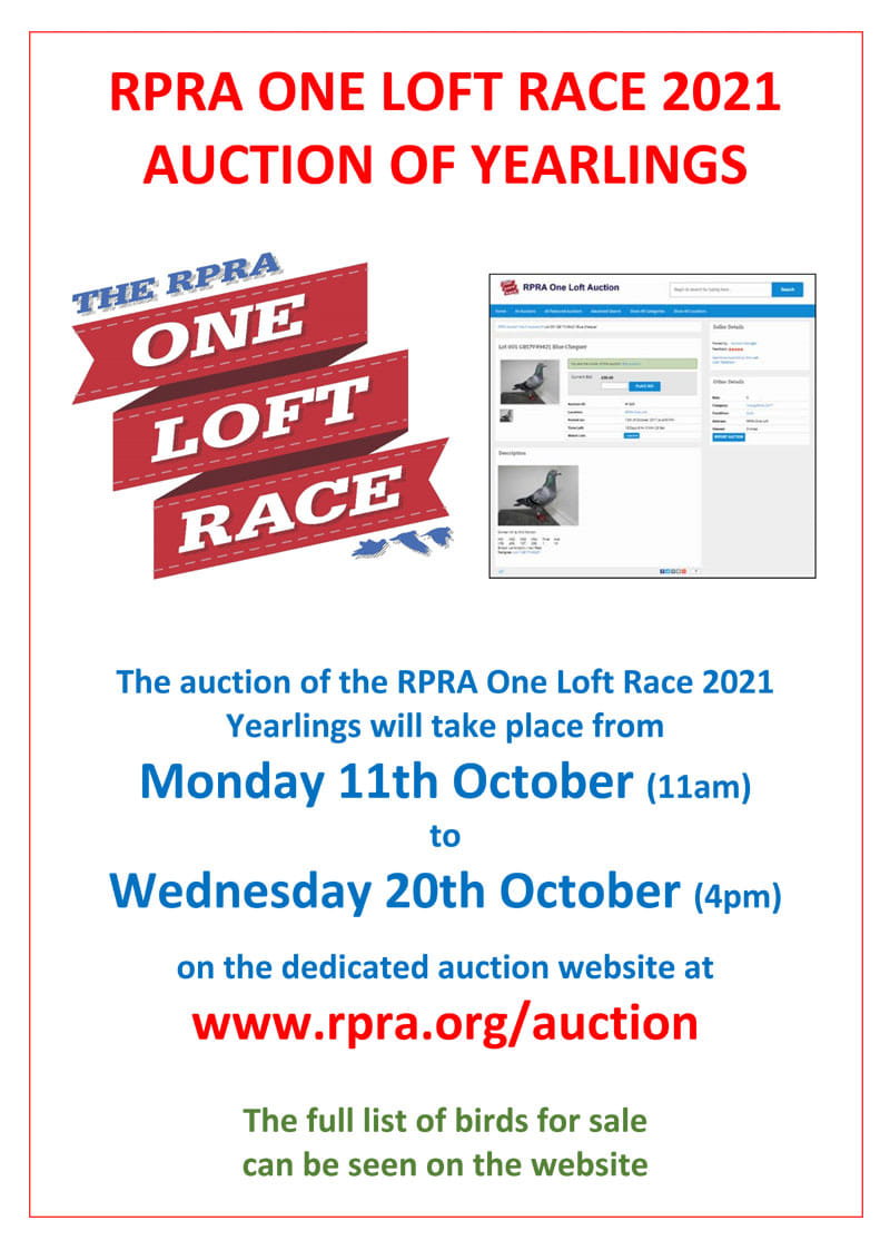 RPRA Yearling Auction 24505510