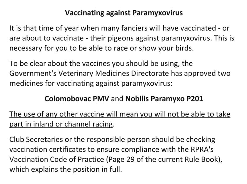 Vaccinating Pigeons 27322110