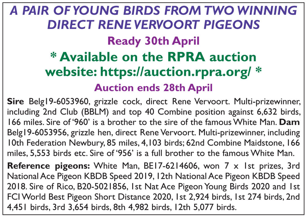 RPRA Auction Site 27612810