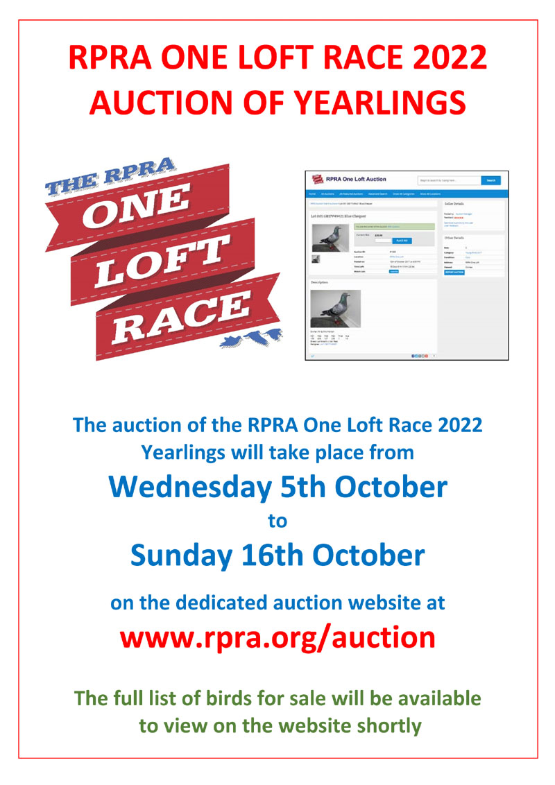 RPRA Yearling Auction 30970610