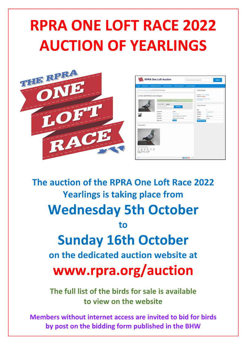 RPRA Yearling Auction 31156610