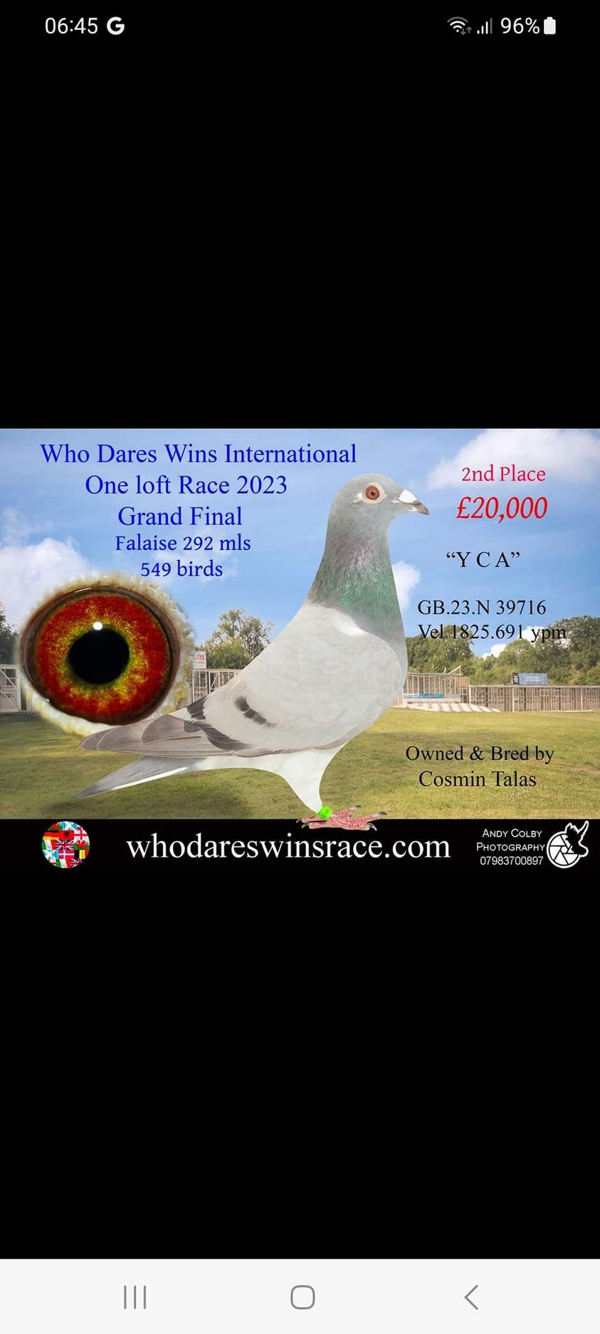 Who dares wins Winner  38249310