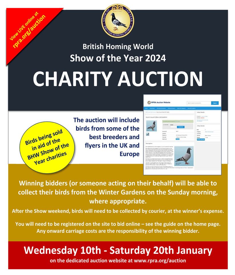 BHW Charity Show 41789110
