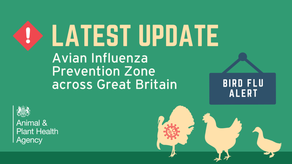 Avian Influenza Update
