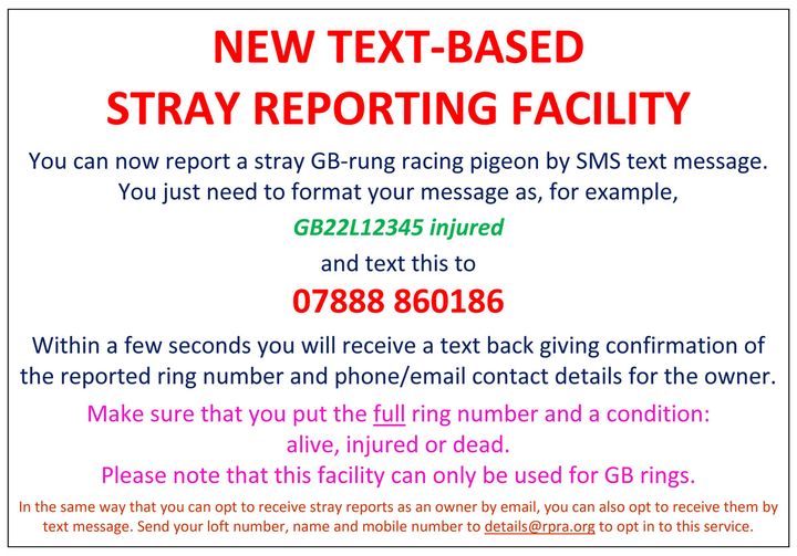 New way to report a Stray Report10