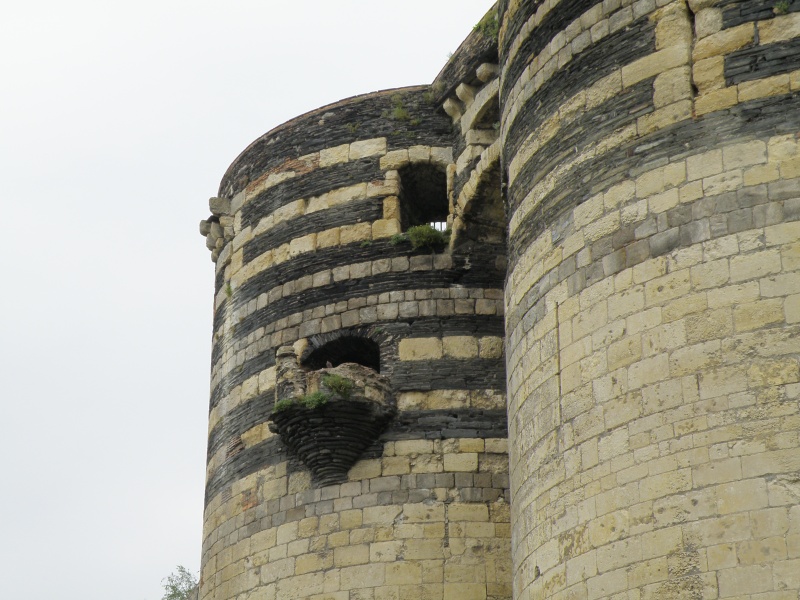 Château d'Angers Angers11