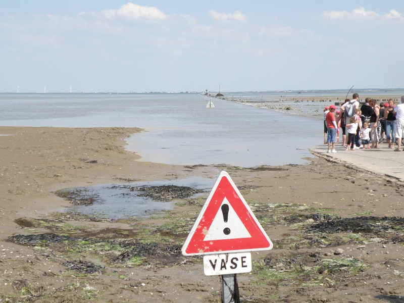 Le passage du Gois Passag15