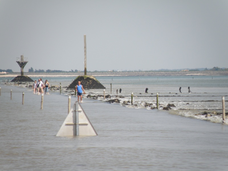 Le passage du Gois Passag17