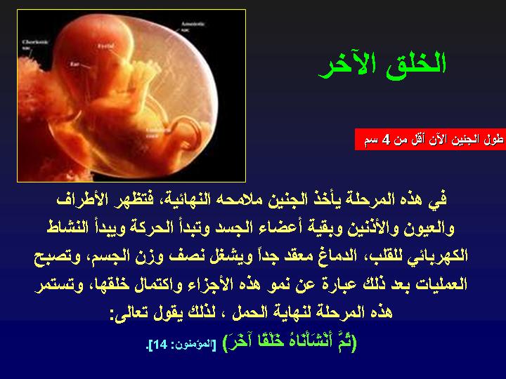 صور مكبرة عن مراحل تكوين الجنين ،، سبحان الخالق 1325
