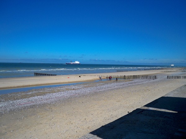 Retour de la fête de la plage... F410