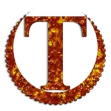 Turksaat Icin Logo  - Sayfa 2 Logo1510