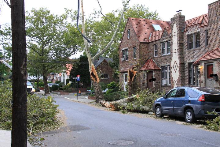 The Storm That Hit the Big Apple 61073_10