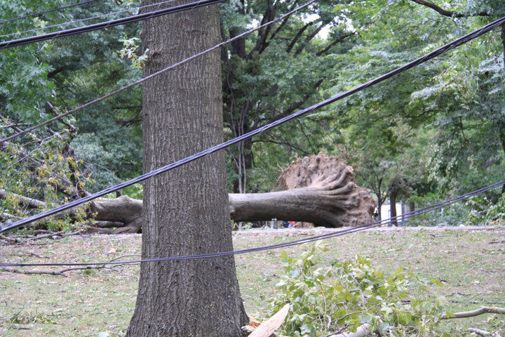 The Storm That Hit the Big Apple 61609_10