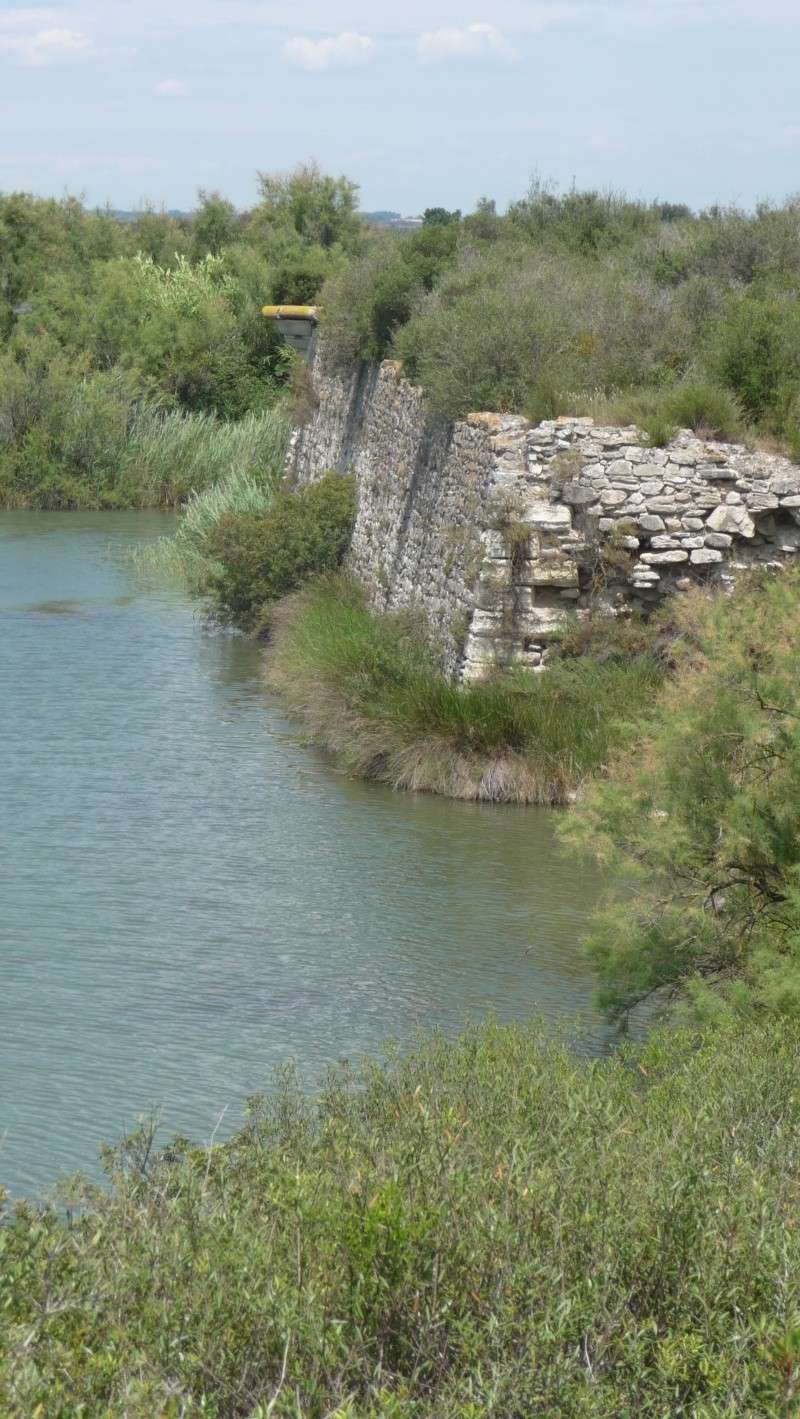 un fort vauban abandonne en pleine camargue ( fort de peccais ),texte+photos+vidéos 00711