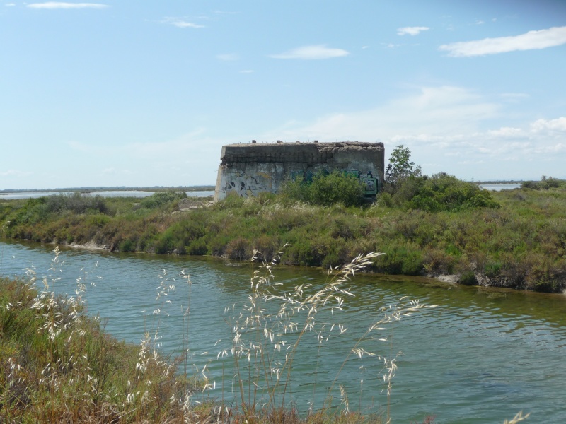 un fort vauban abandonne en pleine camargue ( fort de peccais ),texte+photos+vidéos 01510