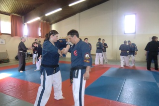 Stage de Pâques pour gradés en Budo et Kyusho Aurali10