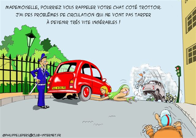 plus de nouvelle de petit chat? Humour10