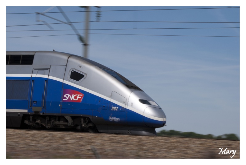 TGV Dsc_0115