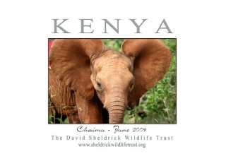 Kenya Daphne Sheldrick's Elephant Orphanage - Pagina 4 5493_111