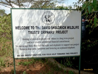 Kenya Daphne Sheldrick's Elephant Orphanage - Pagina 2 P1000310
