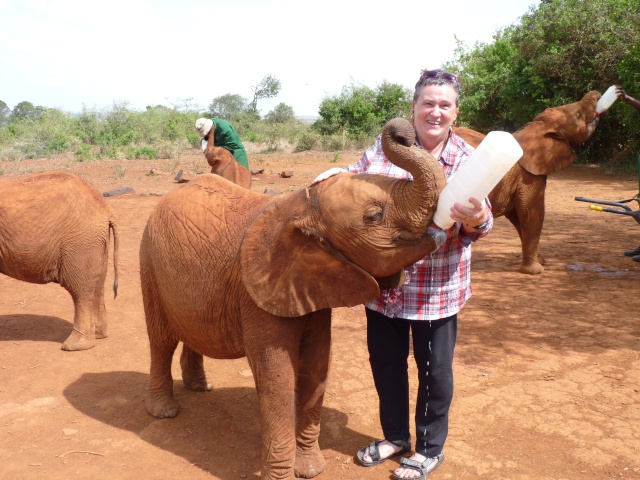 Kenya Daphne Sheldrick's Elephant Orphanage - Pagina 2 P1010711