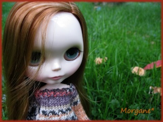 Morgane... Le retour ^^ Img_0510